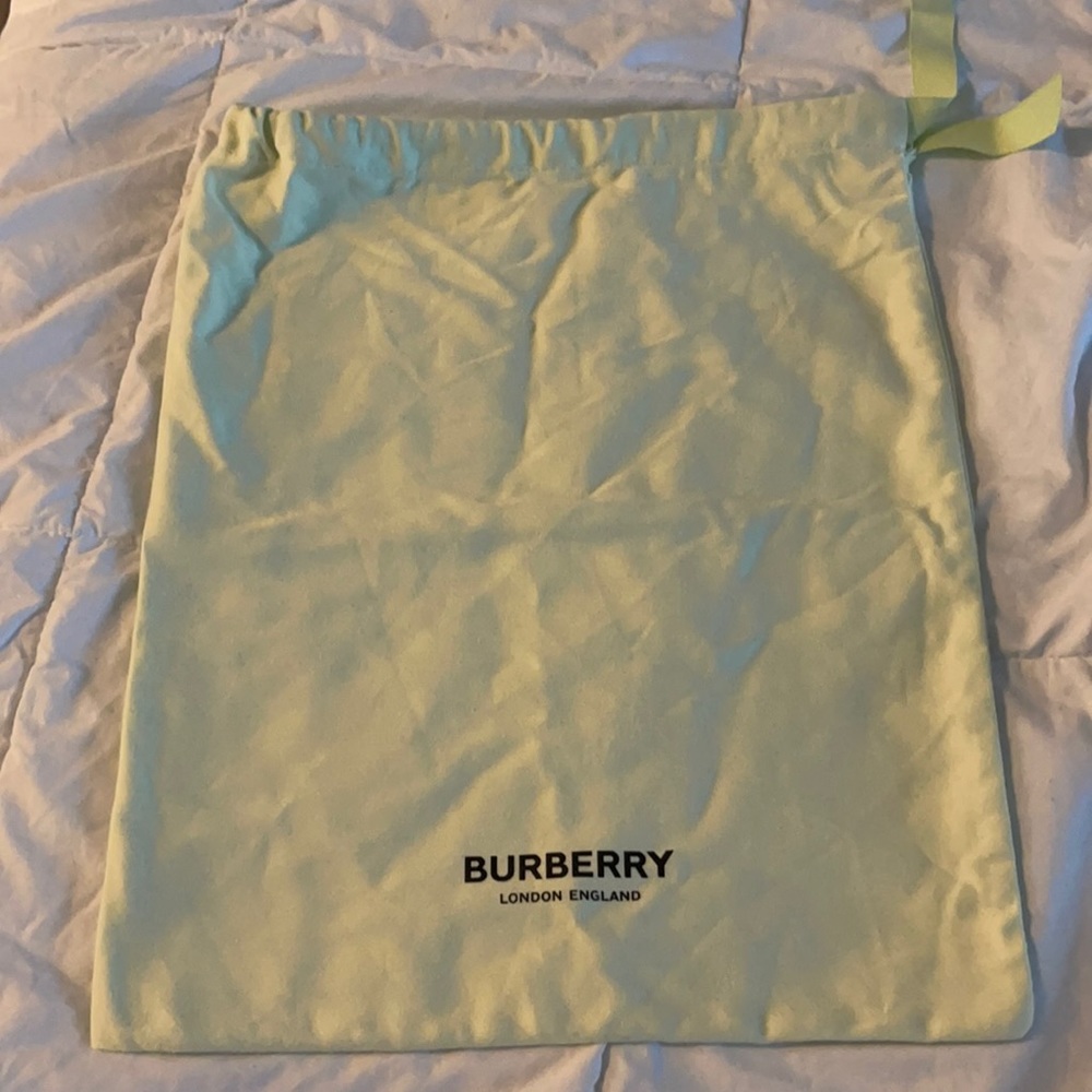Burberry shoes bag new